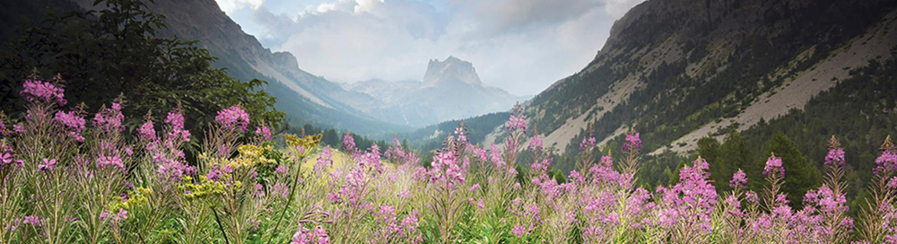 Summer Worship – Rev. Mark Aitcheson,  July 19, 2020